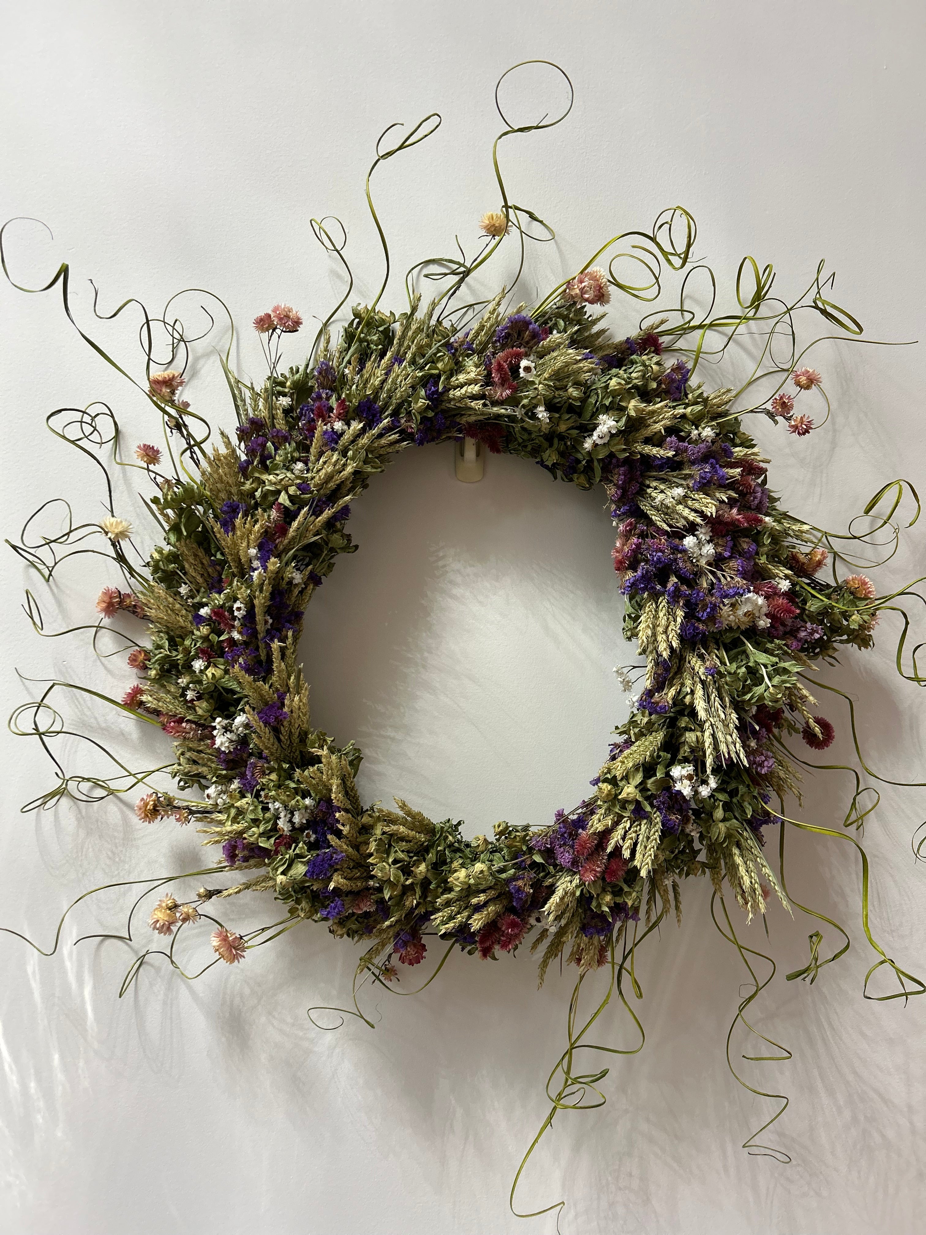 Decorative 30 inch dried floral wreath with vibrant statice and helichrysum and the whimsical texture of various grains, and curly ting ting on a white background.