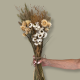 Hand-tied bouquet that is densely populated with ethereal natural white rhodanthe, subtle bupleurum, soft helichrysum vestitum, and graceful phalaris. Complemented by the rustic charm of natural wheat, and the playful softness of lagurus ovatus. It’s a symphony of creamy whites and earthy textures. 