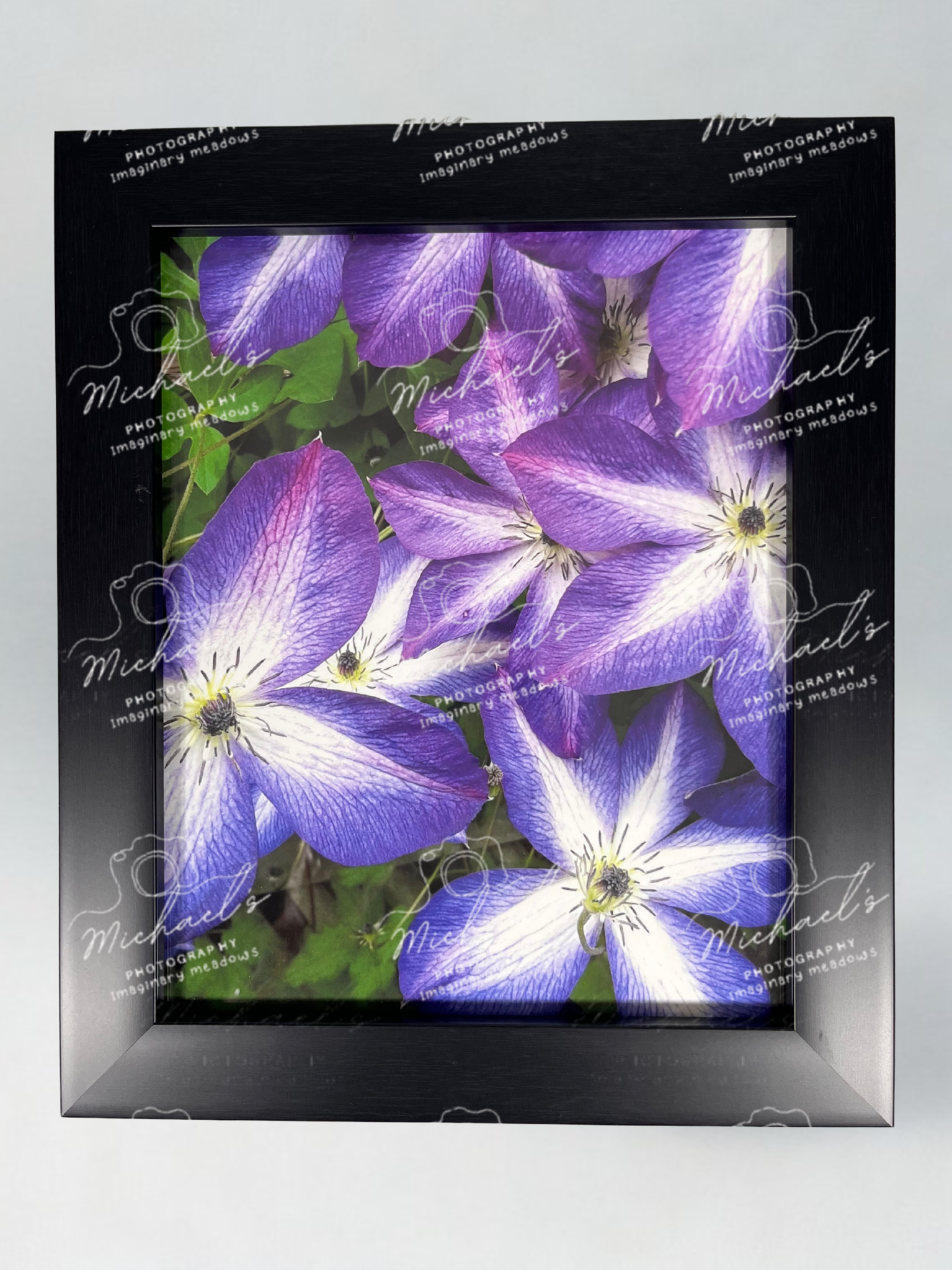 Matt black framed photograph of purple clematis flowers