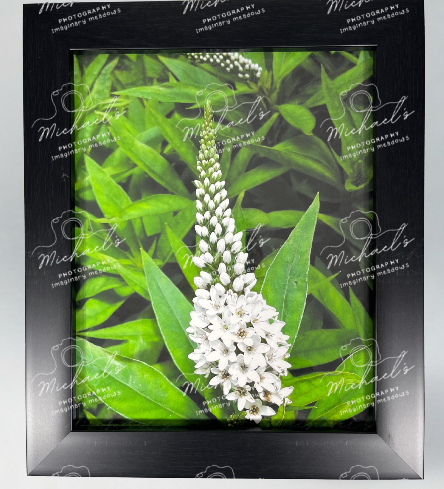 Matte black framed photograph of a white pineapple lily flower and green leaves with 'Michael's' branding.