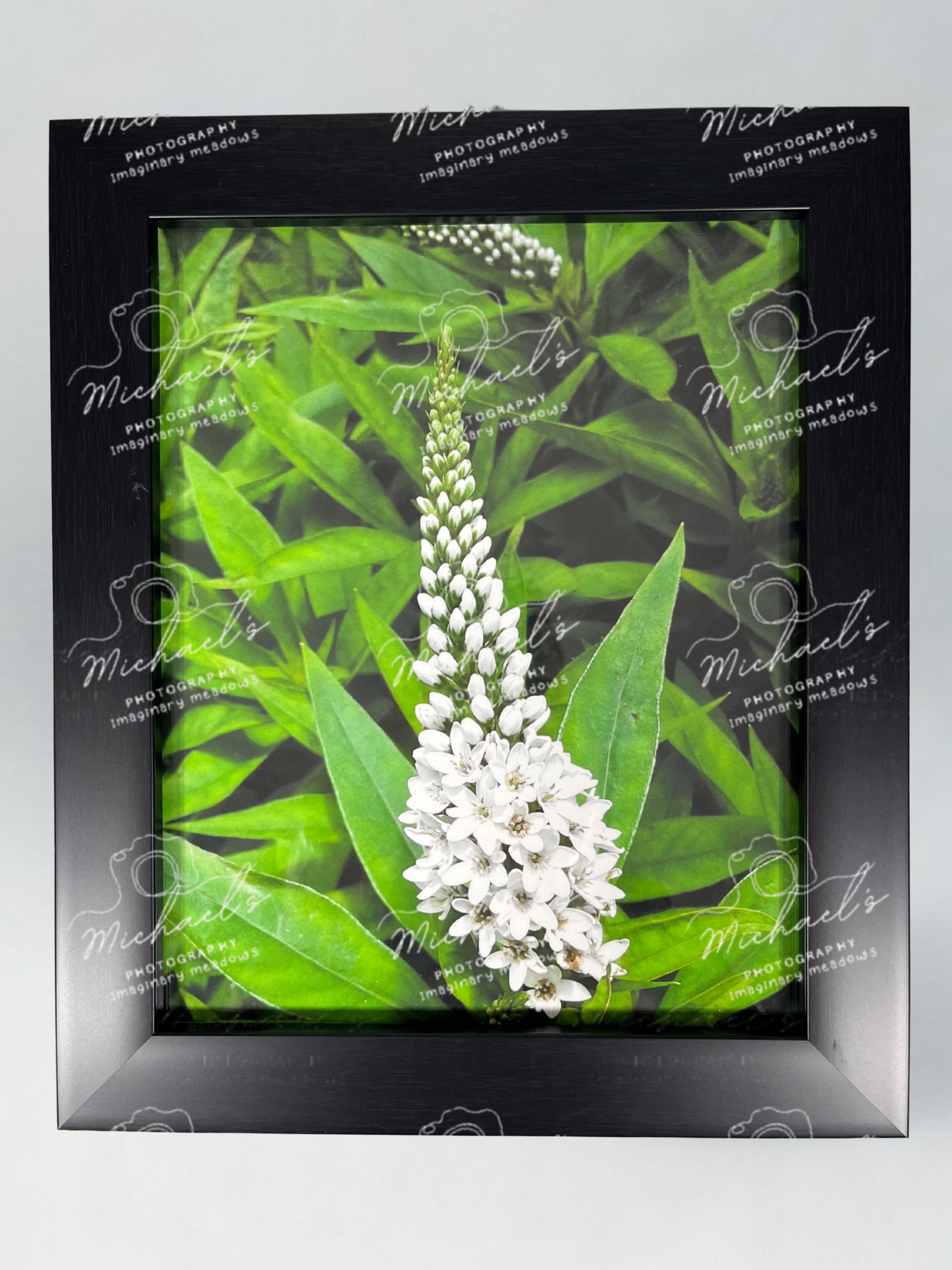 Matte black framed photograph of a white pineapple lily flower and green leaves with 'Michael's' branding.