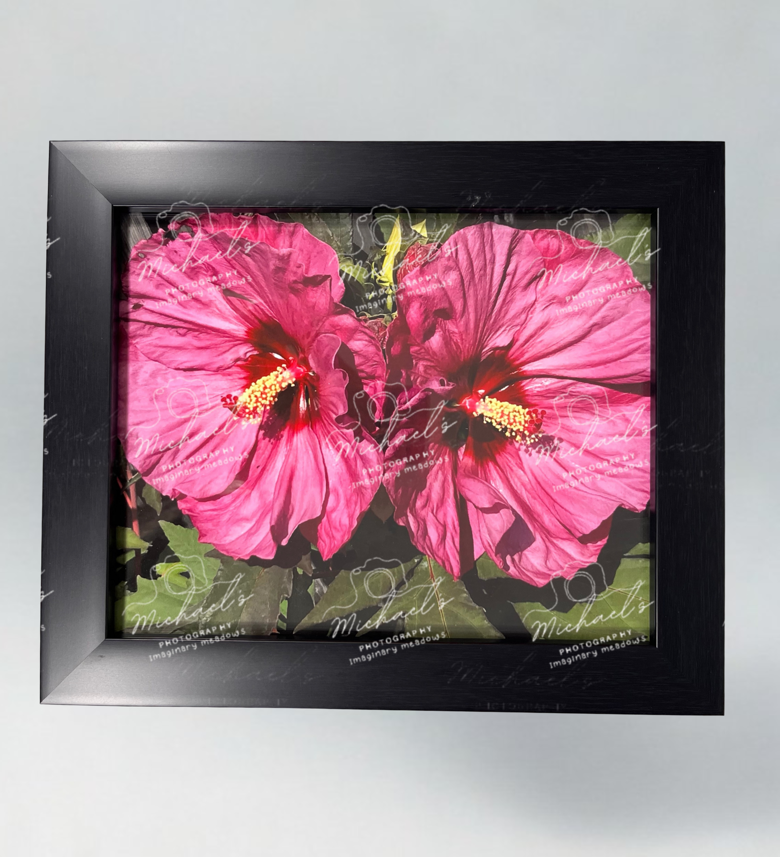 Matte black framed artwork of pink hibiscus flowers on a green leafy background