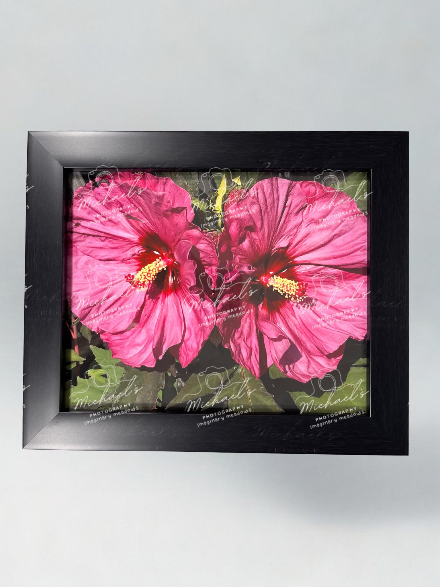 Matte black framed artwork of pink hibiscus flowers on a green leafy background