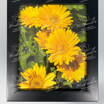 Black matte framed picture of yellow flowers with 'Michaels' branding on a gray background