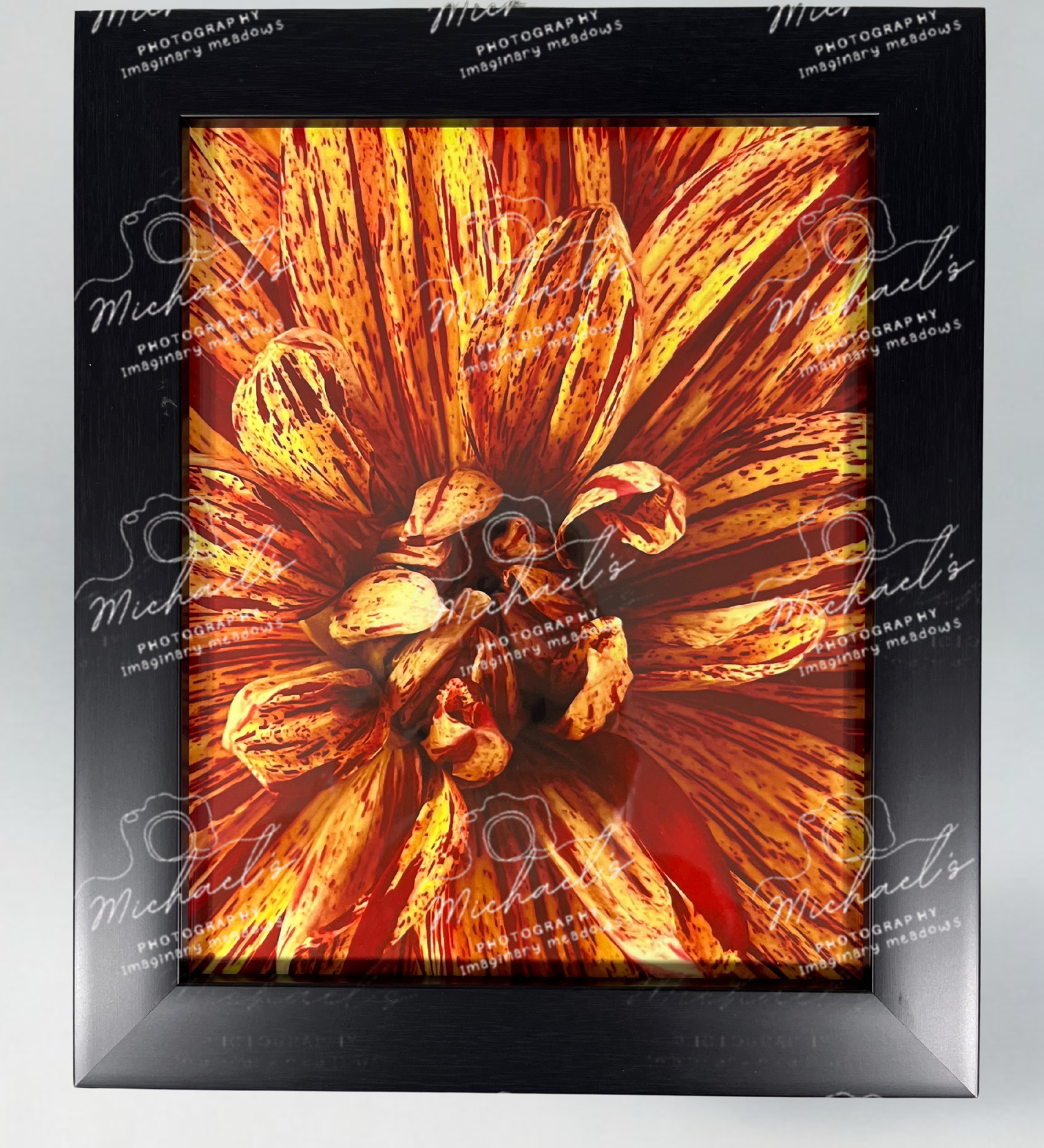 Framed artwork of a close-up of a Dahlia flower with a matte black frame