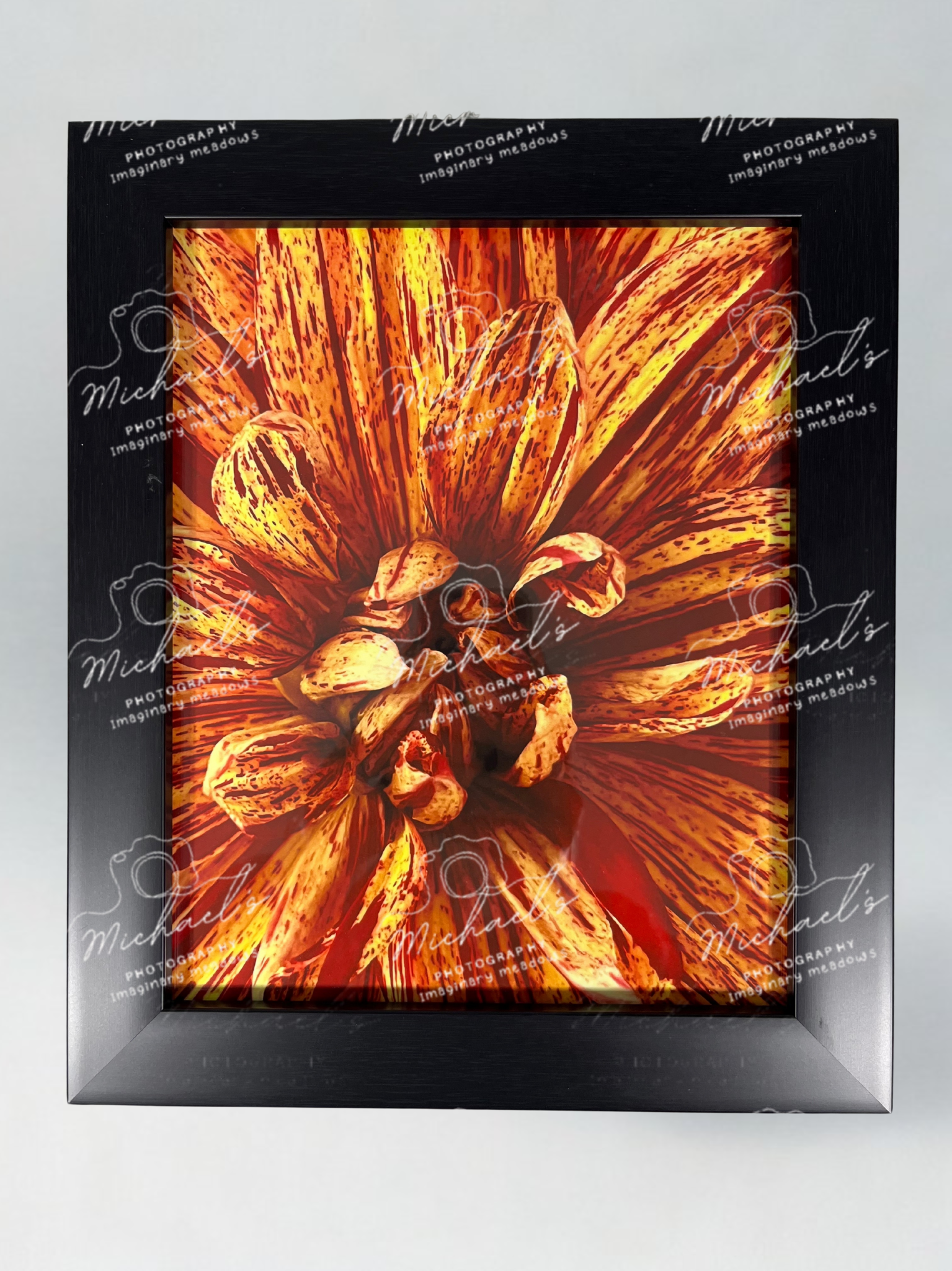 Framed artwork of a close-up of a Dahlia flower with a matte black frame