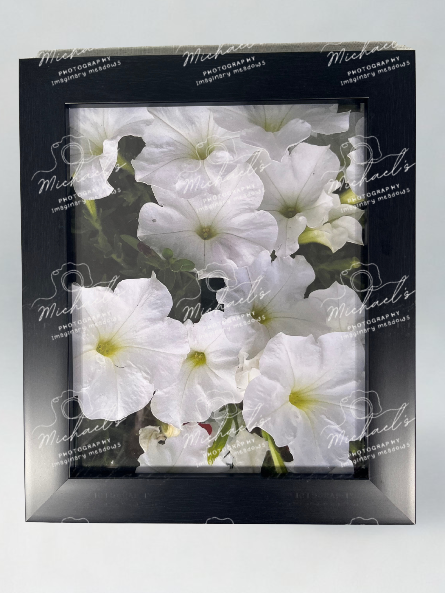 Framed photograph of white petunia flowers with a matt black frame