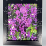 Matt black framed artwork with purple bougainvillea flowers and green leaves 