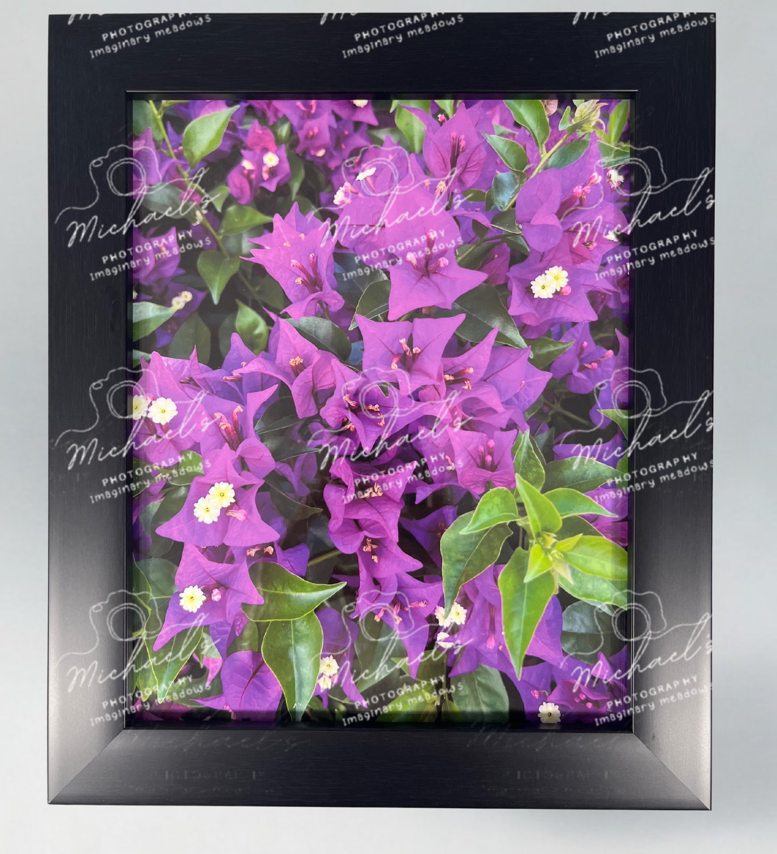 Matt black framed artwork with purple bougainvillea flowers and green leaves 
