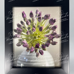 Matte black framed photograph of a purple allium flower on the verge of blooming.