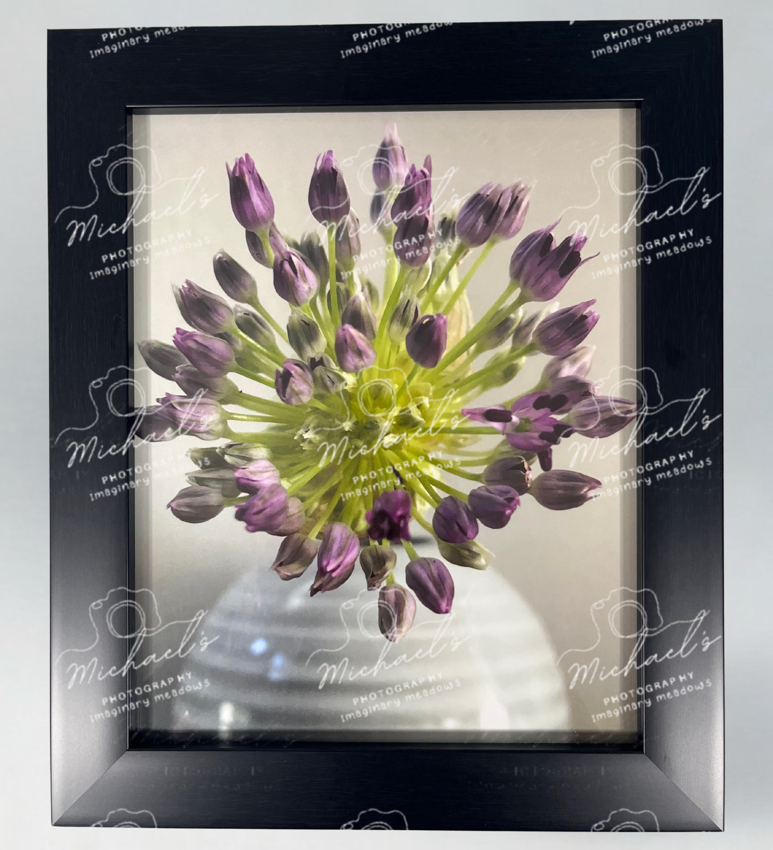Matte black framed photograph of a purple allium flower on the verge of blooming.