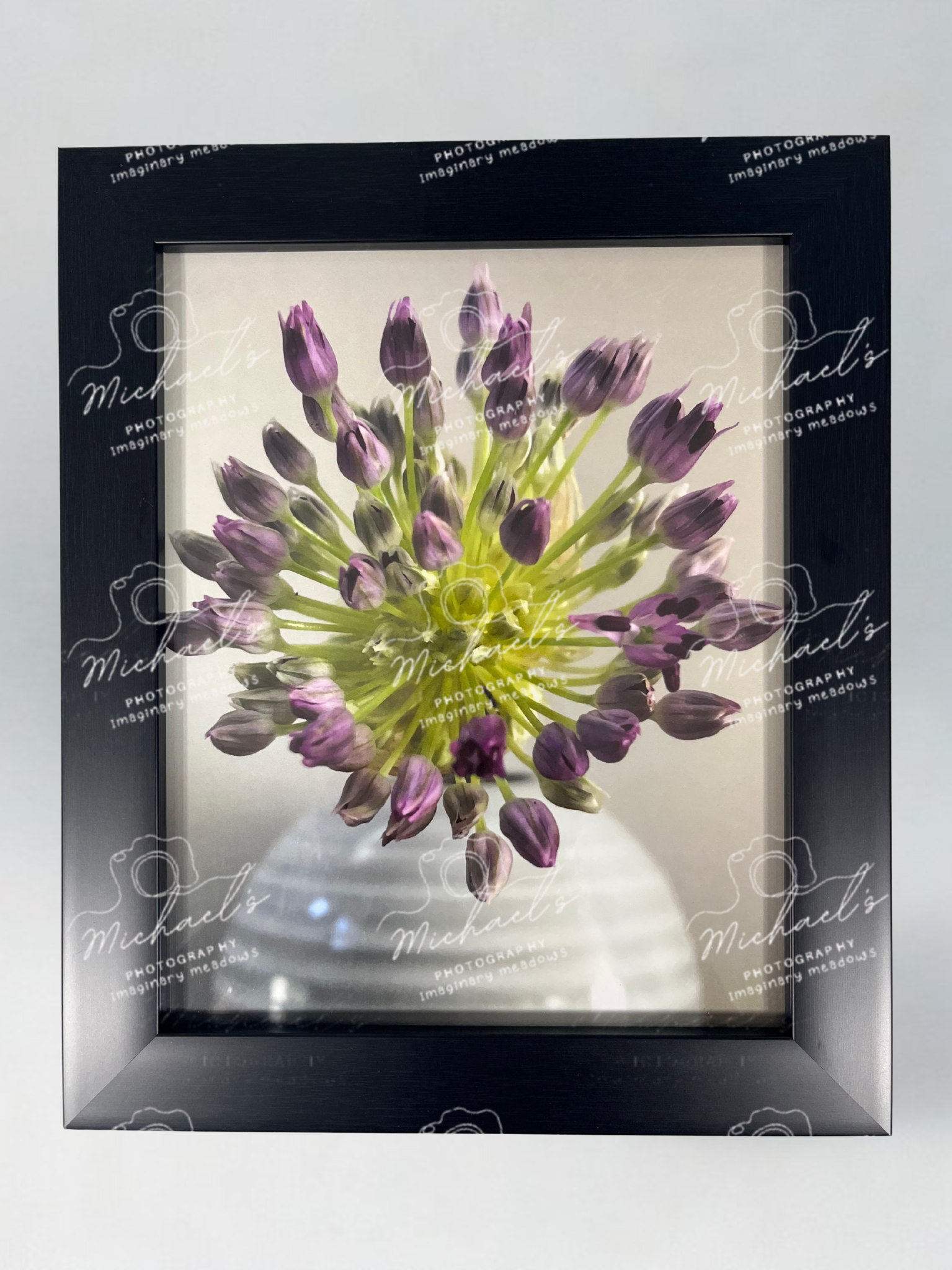 Matte black framed photograph of a purple allium flower on the verge of blooming.