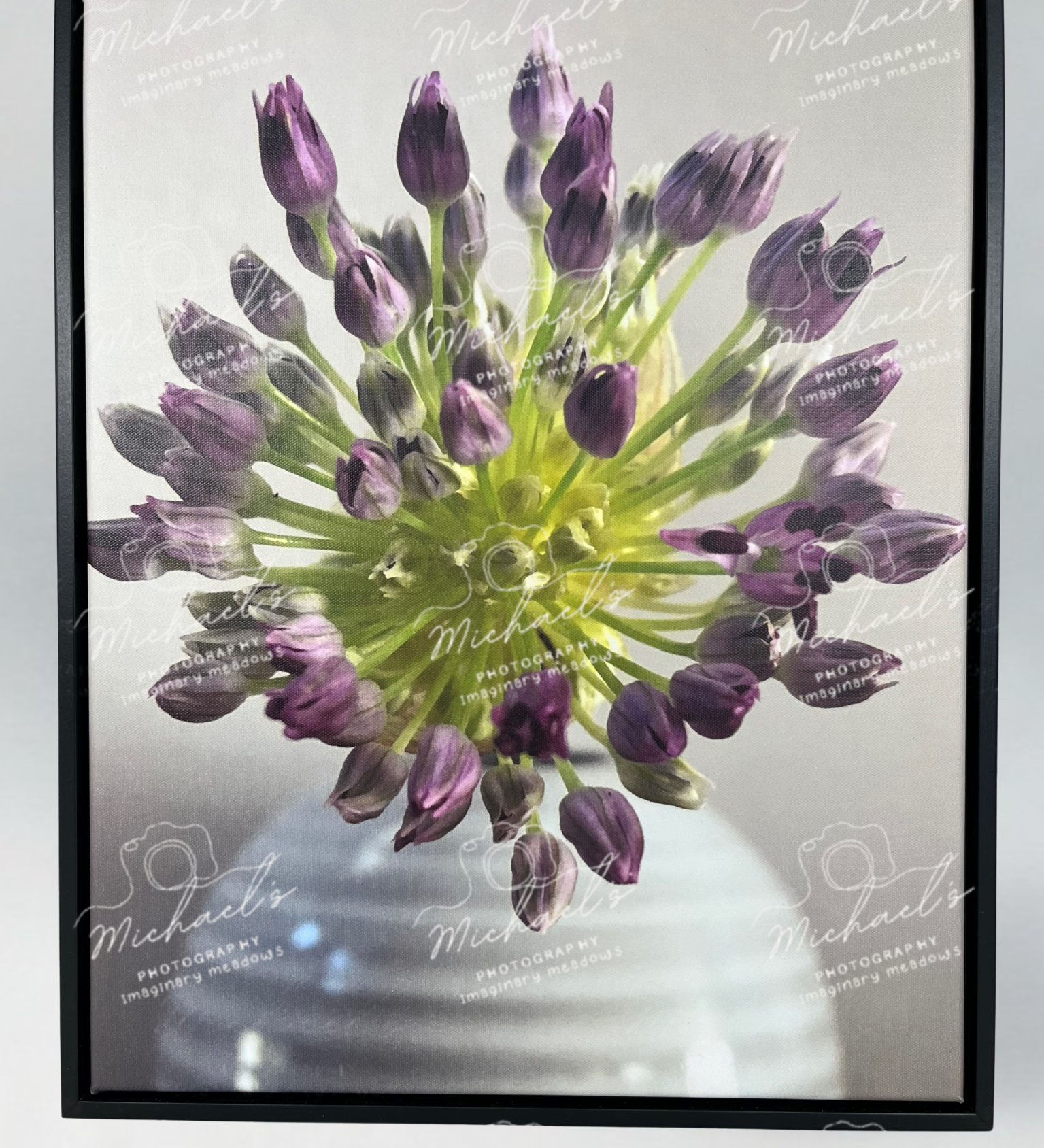 Matte black framed photograph of a purple allium flower on the verge of blooming.