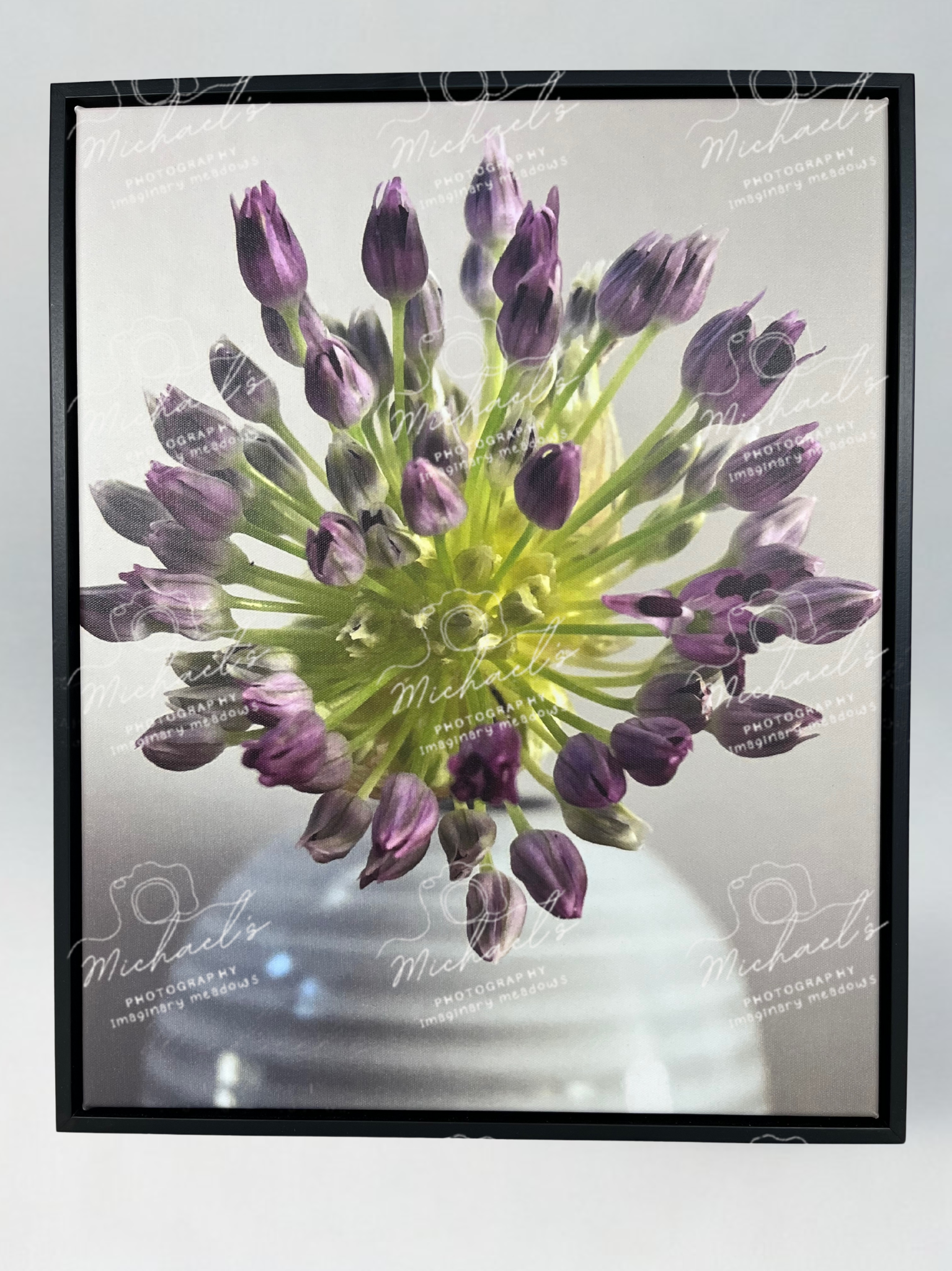 Matte black framed photograph of a purple allium flower on the verge of blooming.