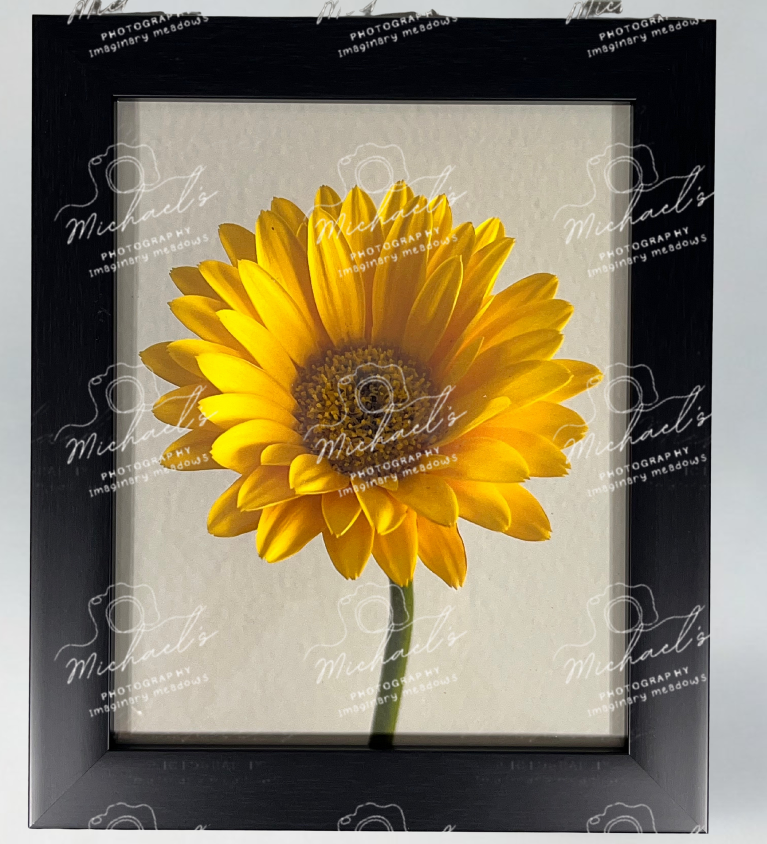 Matte black framed yellow sunflower with 'Michaels' branding on a white background