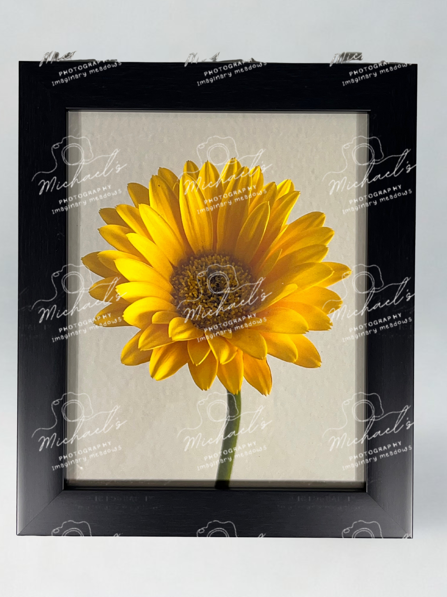 Matte black framed yellow sunflower with 'Michaels' branding on a white background