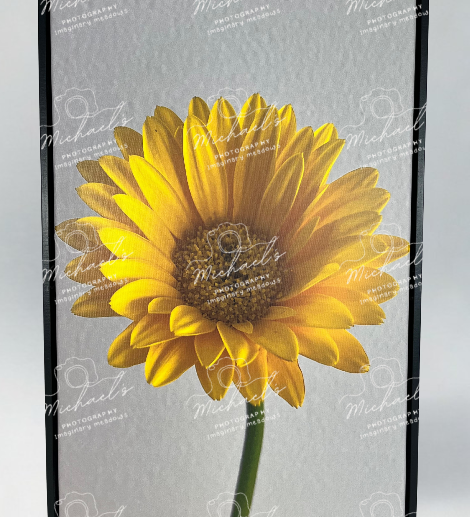 Yellow sunflower on a gray background with 'Michaels' branding.