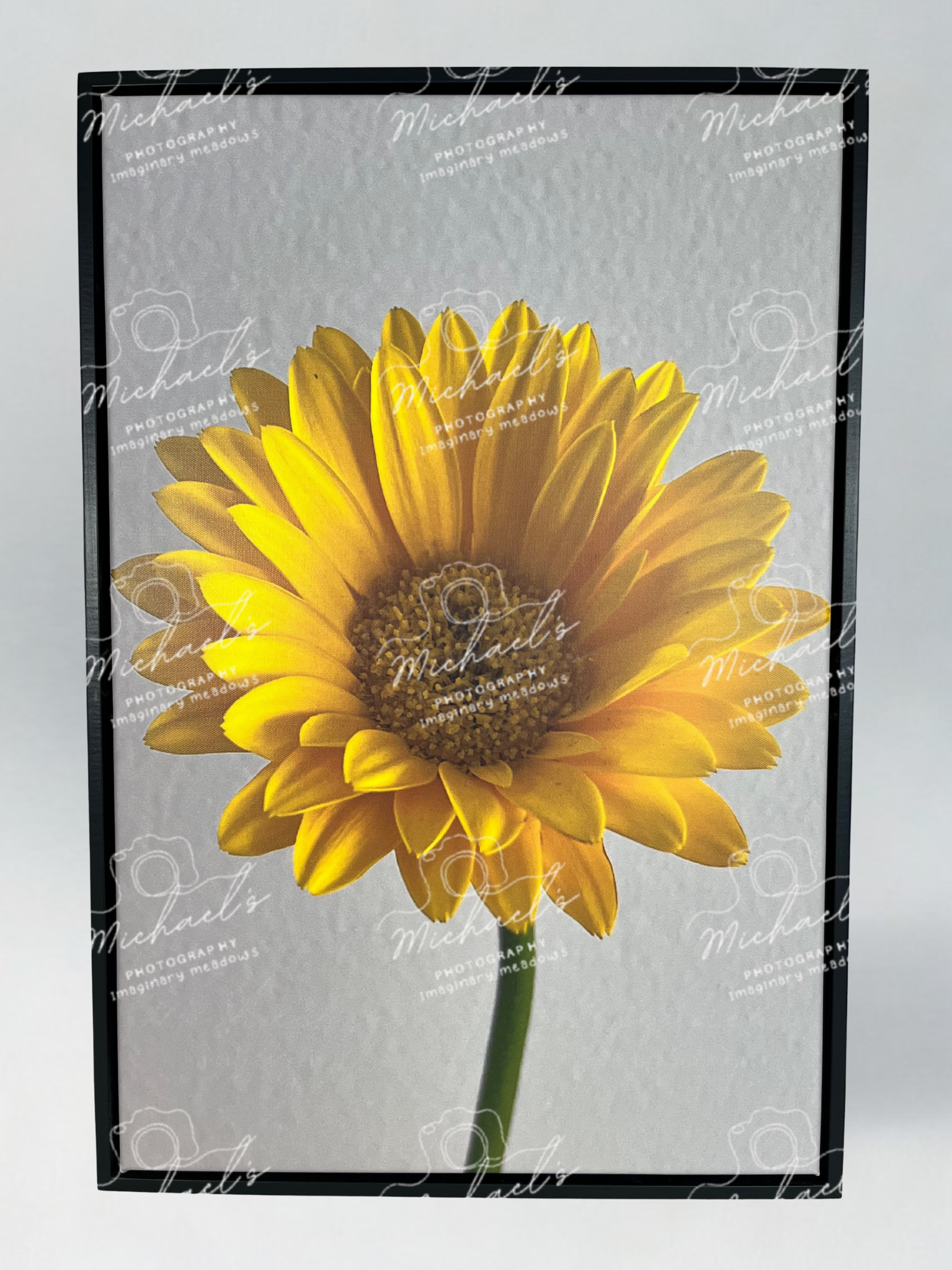 Yellow sunflower on a gray background with 'Michaels' branding.
