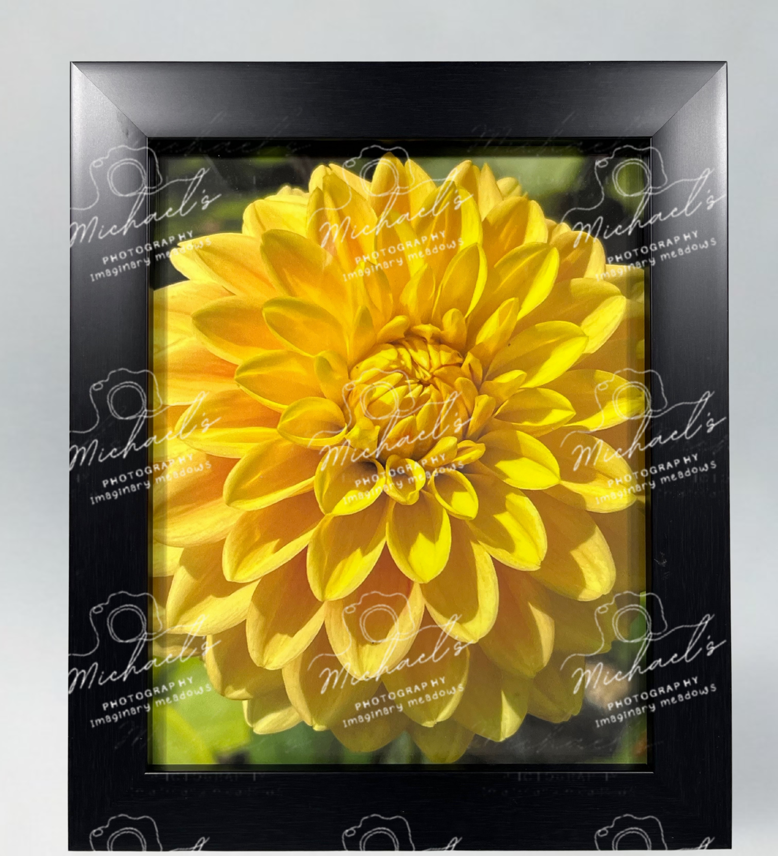 Closeup of a vibrant yellow Dahlia flower in a matt black frame with 'Michaels' branding.