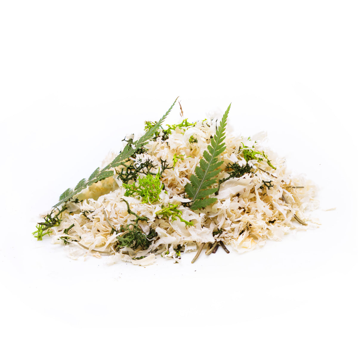 A small mound of stone pine shavings
with moss, lichen, spruce needles,
and fern leaves photographed on a clean white background.