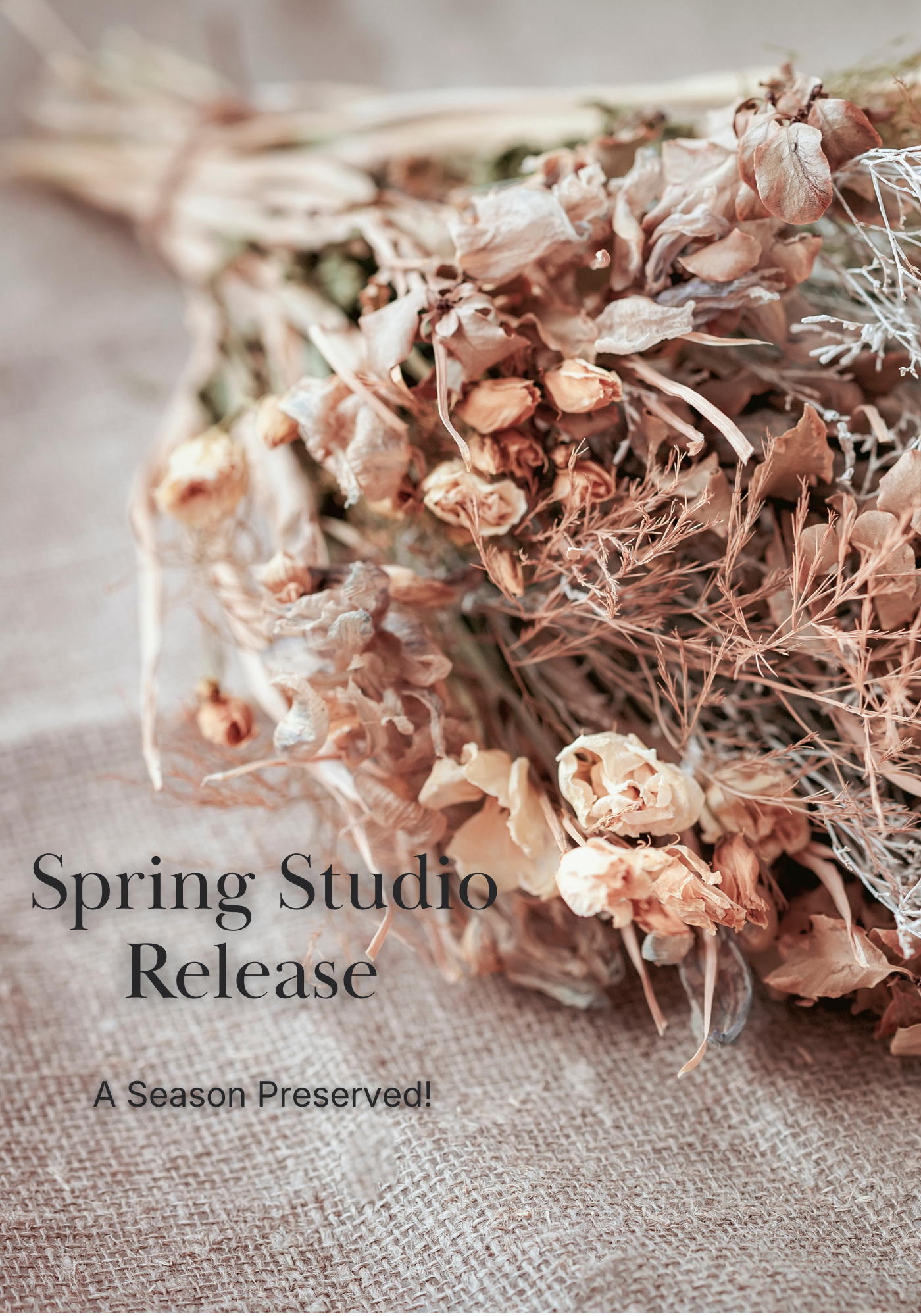 Bouquet of dried flowers with text overlay 'Spring Studio Release: A Season Preserved!' on a textured background