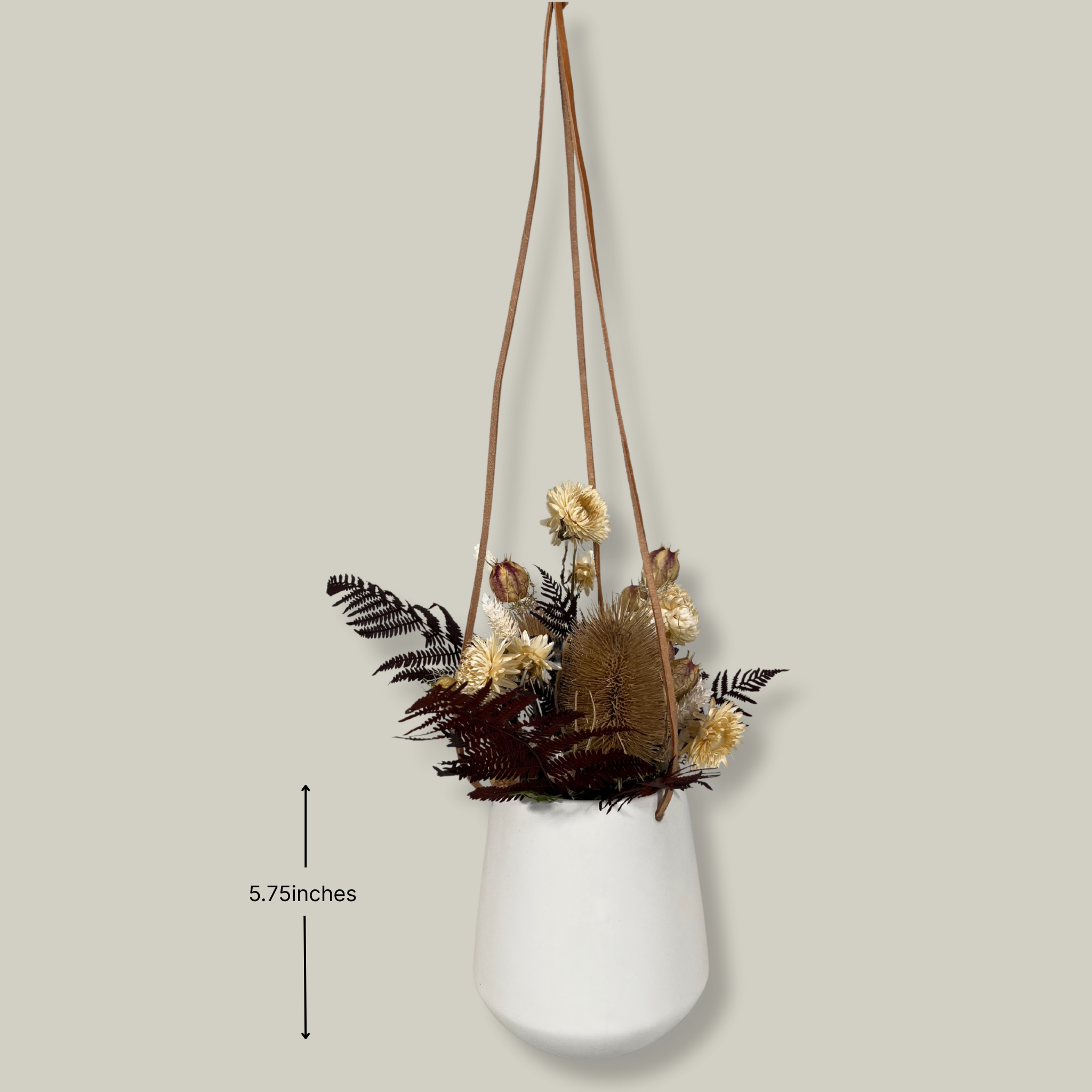 White hanging planter with beautiful dried flowers arrangement with burgundy bracken, ivory helichrysums, Nigel seed pods, natural teasels, and ivory phalaris on a beige background. Photo includes measurement of the height of the planter at 5.75 inches.