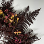 Dark burgundy dried ferns mixed with small pink baby's breath and yellow dried roses, arranged on a light gray background.