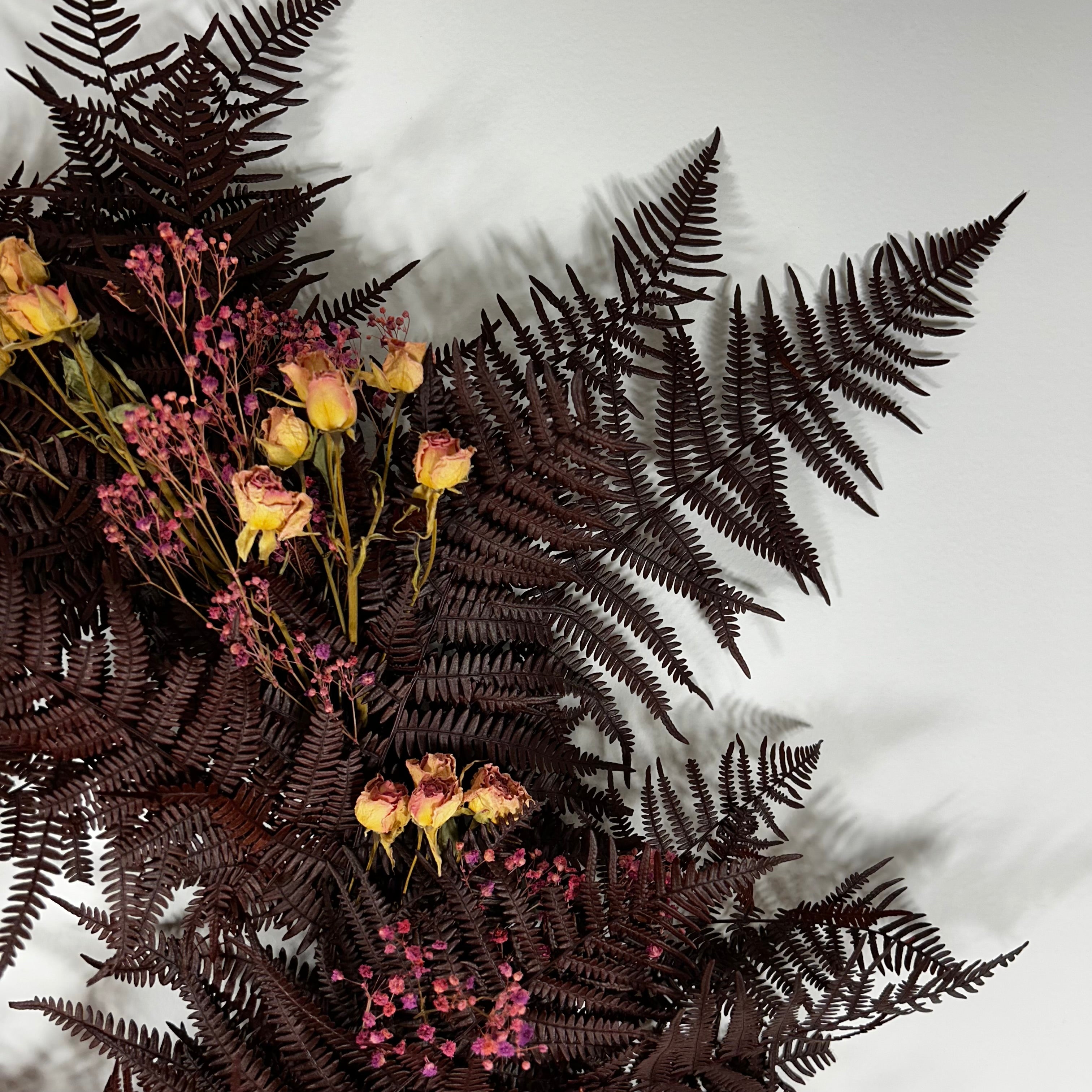 Dark burgundy dried ferns mixed with small pink baby's breath and yellow dried roses, arranged on a light gray background.