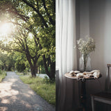 Two contrasting scenes: a sunlit path through trees and a dimly lit room with a table and chair.