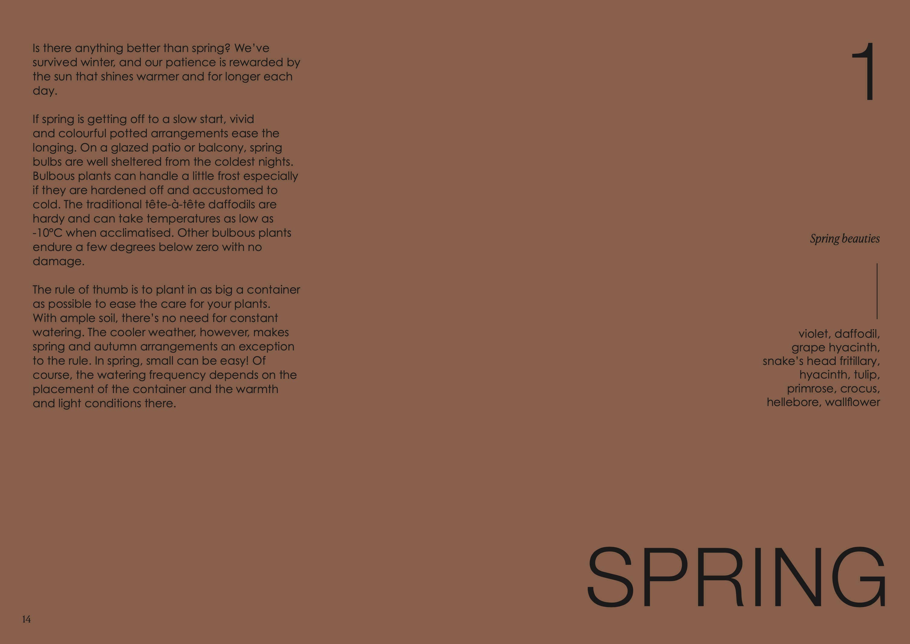 Text on a brown background with the word 'SPRING' at the bottom.
