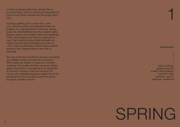 Text on a brown background with the word 'SPRING' at the bottom.