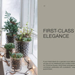 Decorative indoor plants in glass containers on a windowsill with text about first-class elegance.