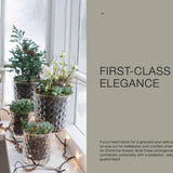 Decorative indoor plants in glass containers on a windowsill with text about first-class elegance.