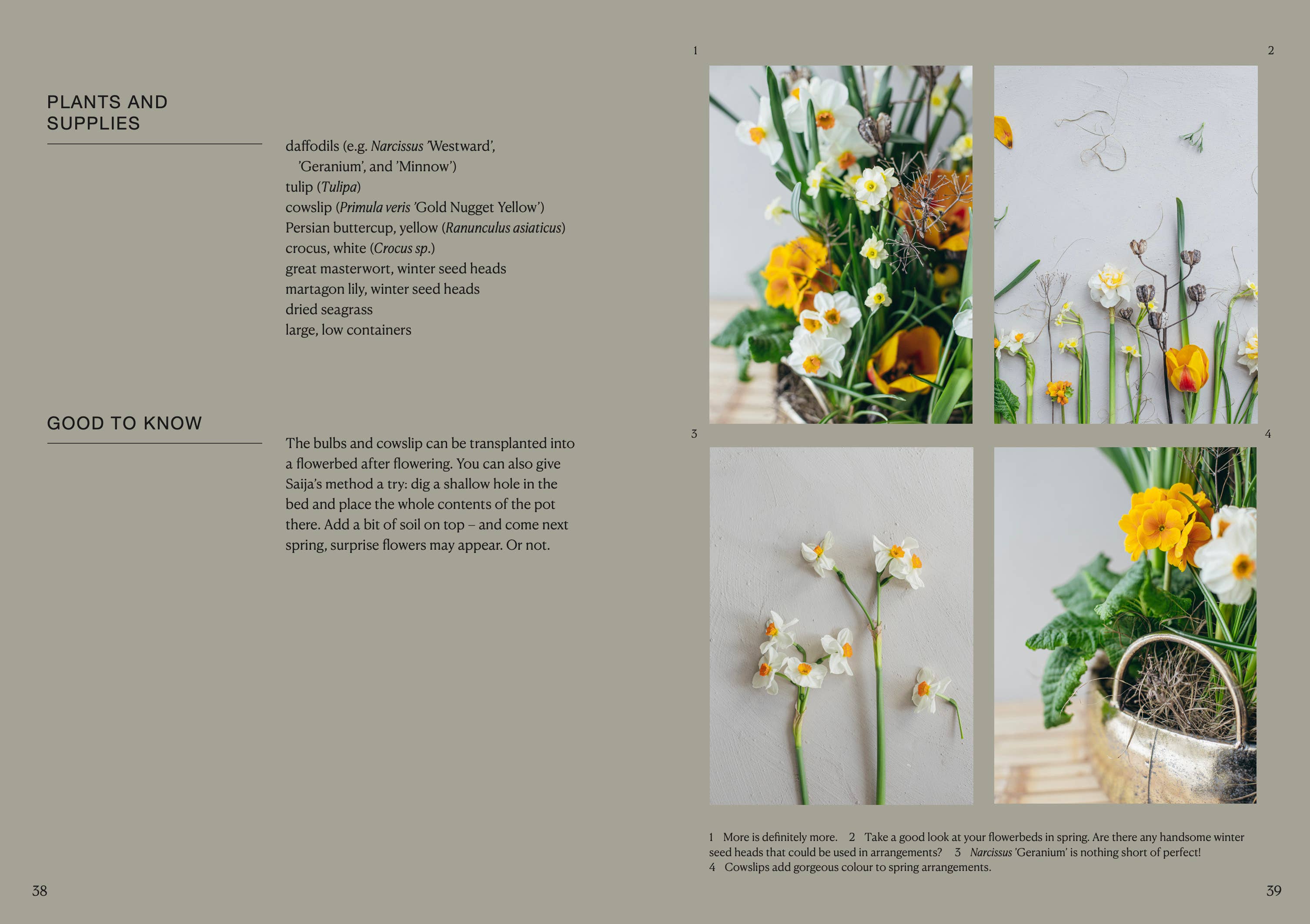 Page from the book featuring images of flowers and text on plants and supplies.