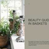 Decorative plants in baskets with candlesticks on a table, titled 'Beauty Queens in Baskets'.