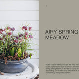 Potted plant arrangement with text on an airy spring meadow theme