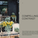 Plants and flowers arranged on a patio with text about compelling contrast.