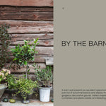 Potted plants against a wooden barn wall with text 'By the Barn'.