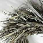 A dried decorative botanical arrangement made of long silvery-gray leaves and dense seed heads, photographed close up on a plain white background.