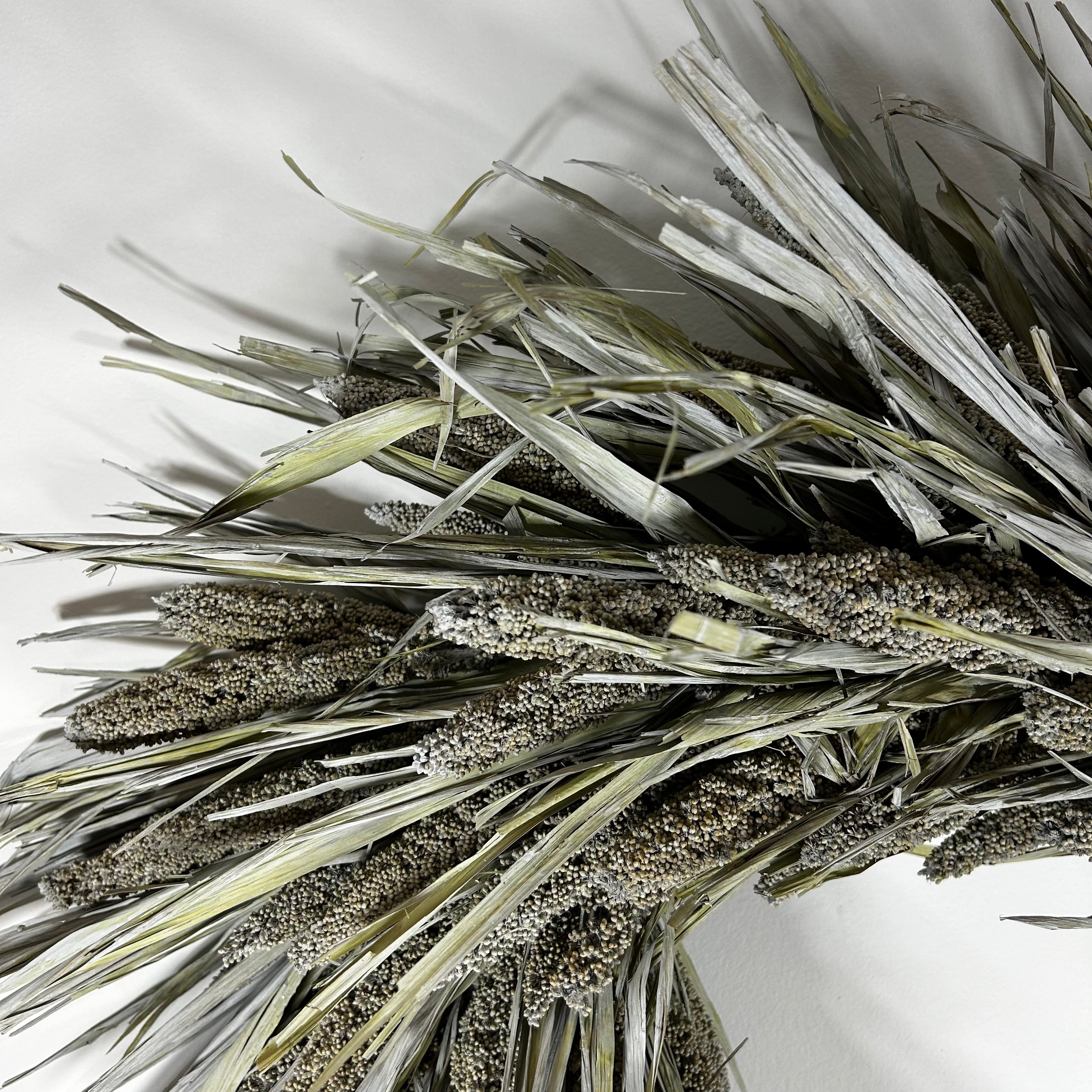 A dried decorative botanical arrangement made of long silvery-gray leaves and dense seed heads, photographed close up on a plain white background.