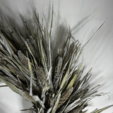 A dried floral arrangement featuring natural grain stalks and long, slender leaves in muted gray-green and beige tones, photographed against a plain light background.
