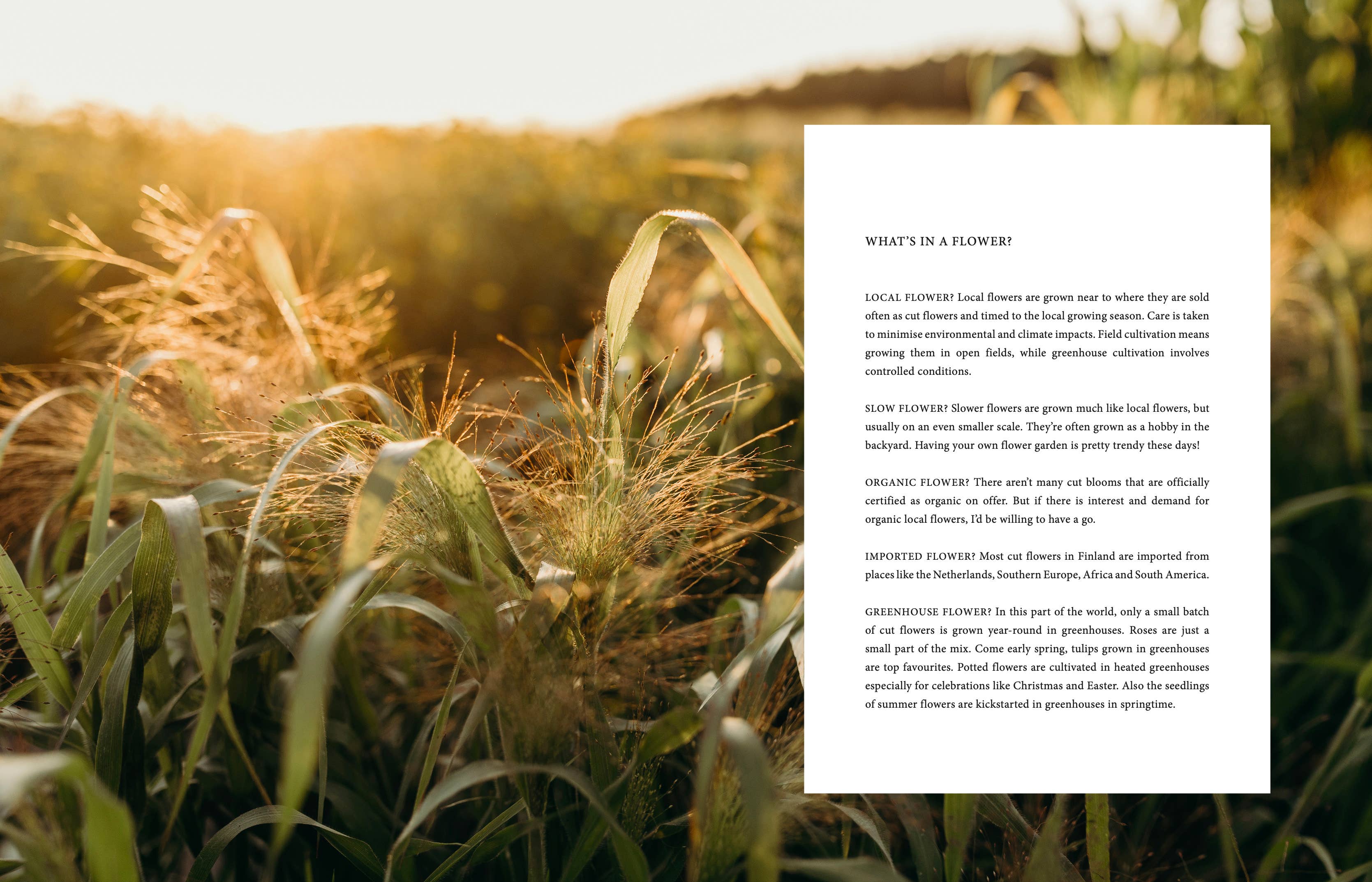 Field of grass with a white paper overlay containing text.