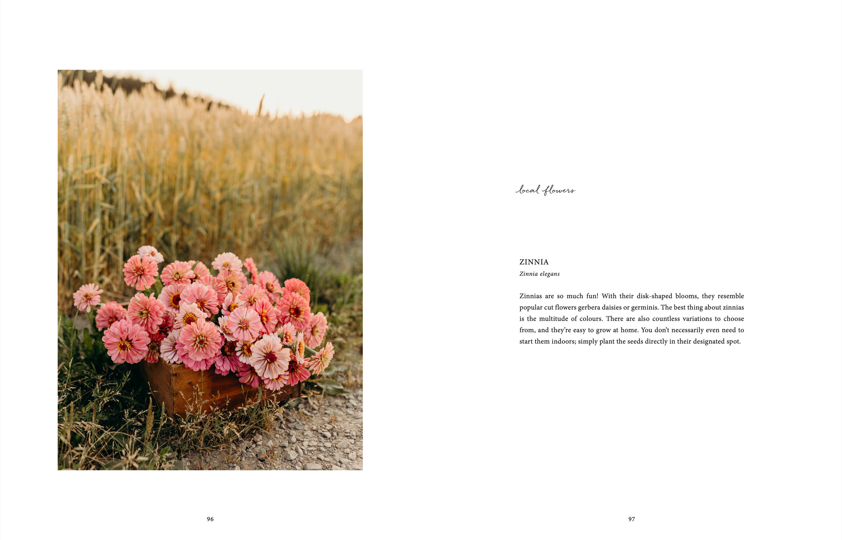 Pink flowers in a basket on a grassy field with text on a white background