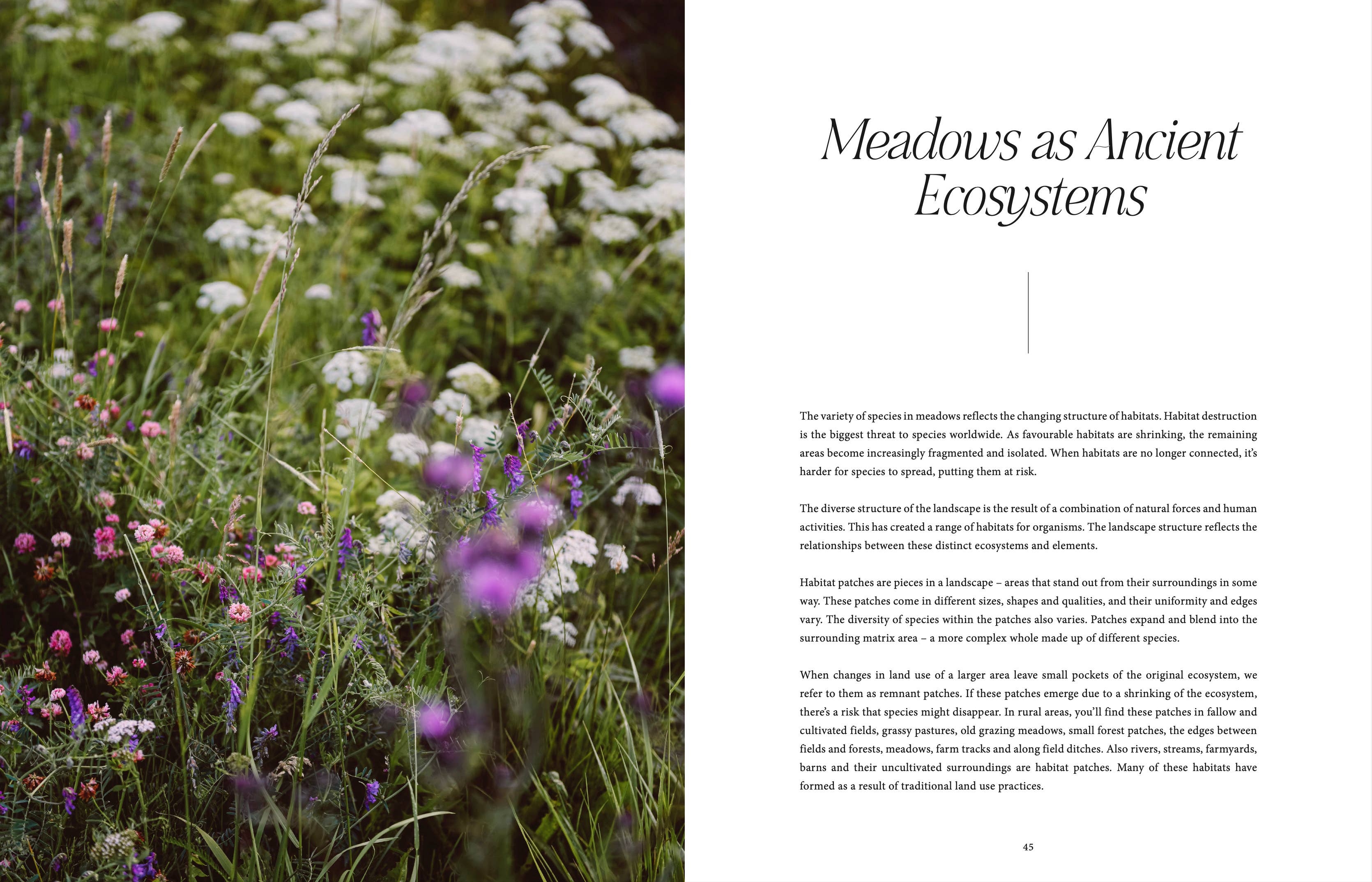 Book page with nature illustration on left and text on right about meadows as ancient ecosystems.