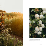 Two nature-themed images side by side: one with tall grasses and sunset, the other with white flowers.