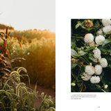 Two nature-themed images side by side: one with tall grasses and sunset, the other with white flowers.