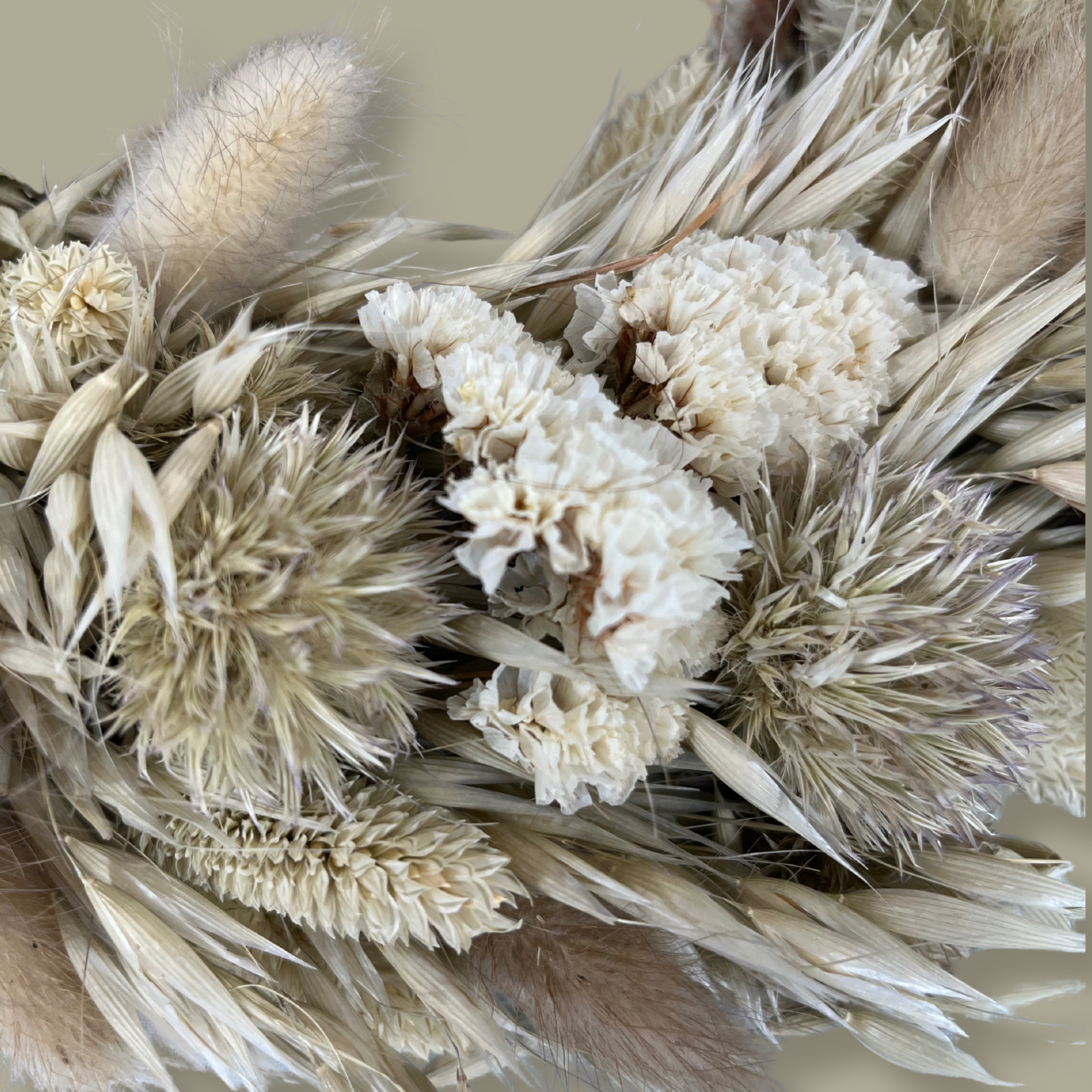Close-up of an exquisite 10-inch wreath made with lush white Statice, airy natural Oat Grass, feathery Lagers ovatus, and more creamy blooms. 