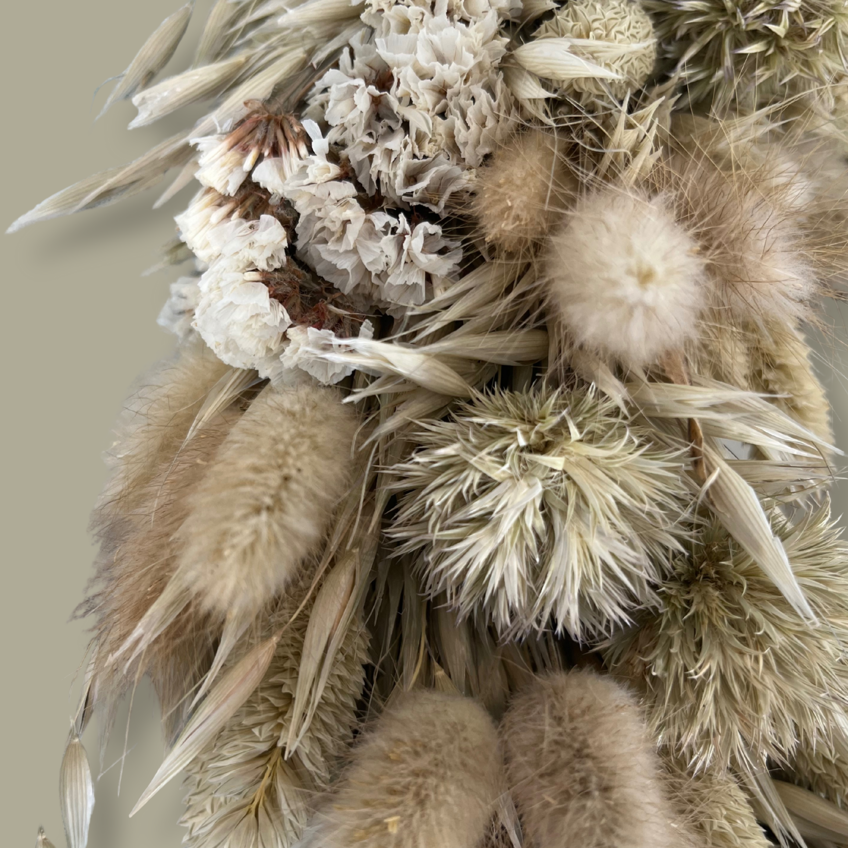 A close-up view of an exquisite 10-inch wreath made with lush white Statice, airy natural Oat Grass, feathery Lagers ovatus, and more creamy blooms.  