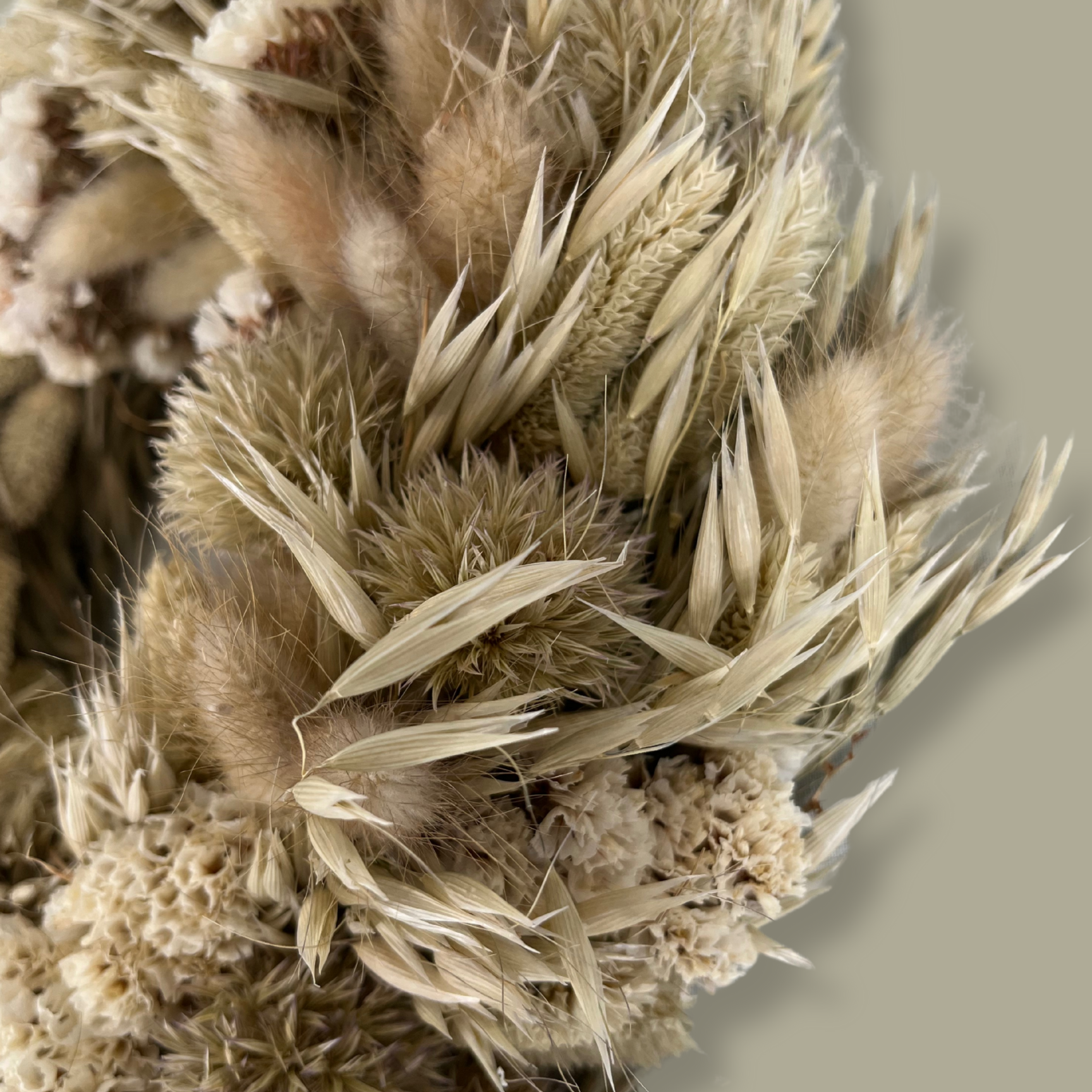 A close-up of an exquisite 10-inch wreath made with lush white Statice, airy natural Oat Grass, feathery Lagers ovatus, and more creamy blooms. 