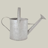 Metal watering can on a light gray background
